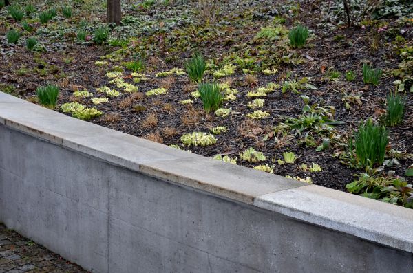 Cost of Concrete Wall Construction in Orem